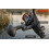 Triple Hunter Pro SLR60 Bait Free Runner Reel Set 5