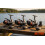 Triple Hunter Pro SLR60 Bait Free Runner Reel Set 7