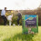 Westland Gro-Sure Hard Wearing Lawn Seed 30m² Box Durable Grass Seed 2
