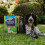 Westland Gro-Sure Hard Wearing Lawn Seed 30m² Box Durable Grass Seed 3