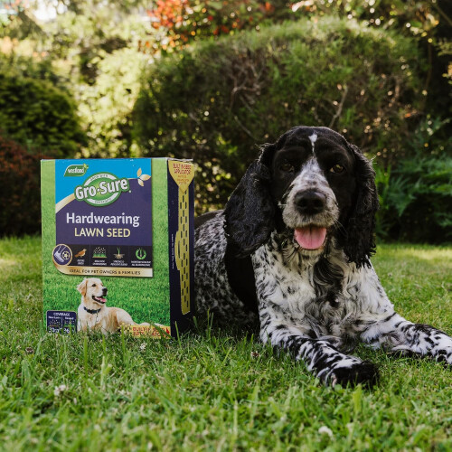 Westland Gro-Sure Hard Wearing Lawn Seed 30m² Box Durable Grass Seed 2