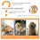 HAOAN Squeaky Dog Toys για Επιθετικά Μασώμενα Σκυλιά: Μπάλα Μασήματος από Λαστιχένιο 5
