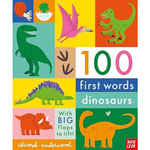 100 First Words Dinosaurs Other Book