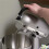 Ergonomic Handle for  Tilt- Stand Mixer - Mixer Accessory - Easy Grip Mixer Attachment 8