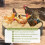 Bottomless Chicken Dust Bath (25x5.9'') – Adjustable Sand Bath for Chickens & Ducks 2