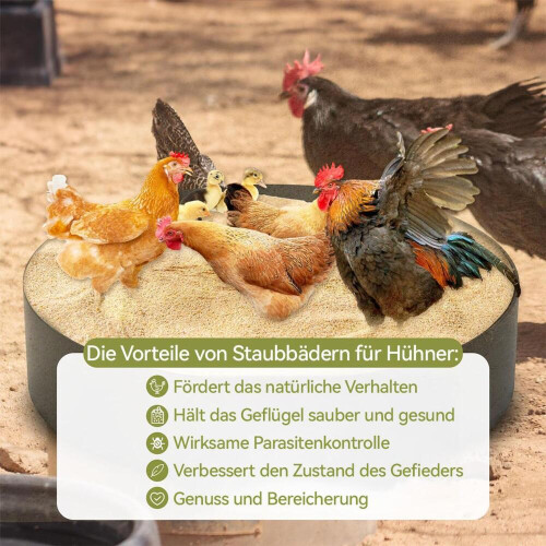 Bottomless Chicken Dust Bath (25x5.9'') – Adjustable Sand Bath for Chickens & Ducks 1