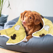 Kayannuo Joululahjat Poisto Painettu Lemmikkien Peitto Talvi Lämmin Suojus Sopii Sisälemmikkieläinten Talvi Lämmin Nukkumiseen 60 * 40cm