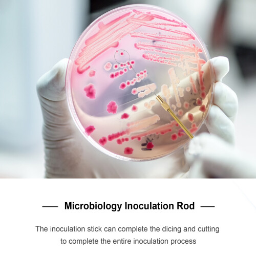 Eease1Pc Laboratory Inoculation Stick Experiment Inoculation Rod Inoculation Ring 1