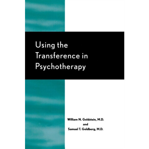 Using the Transference in Psychotherapy by William N. Goldstein Paperb