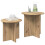 VidaXL vidaXL Side Table Set with Storage 2 pcs Artisan Oak Engineered Wood 2