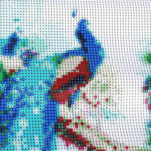 2 Set 5D Art Diamond Painting Full Diamond Stitch Kits Embroidery Home Decors, & Koi
