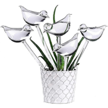 Lot de 10 globes en verre Ă arrosage automatique pour plantes, ampoules transparentes en forme d'oiseau