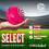 Oneglobal Select Leather Cricket Ball Match Practice Training Senior 5 4