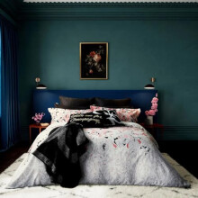 Ted Baker Multi Paisley 3 Piece Duvet Cover Set (King)