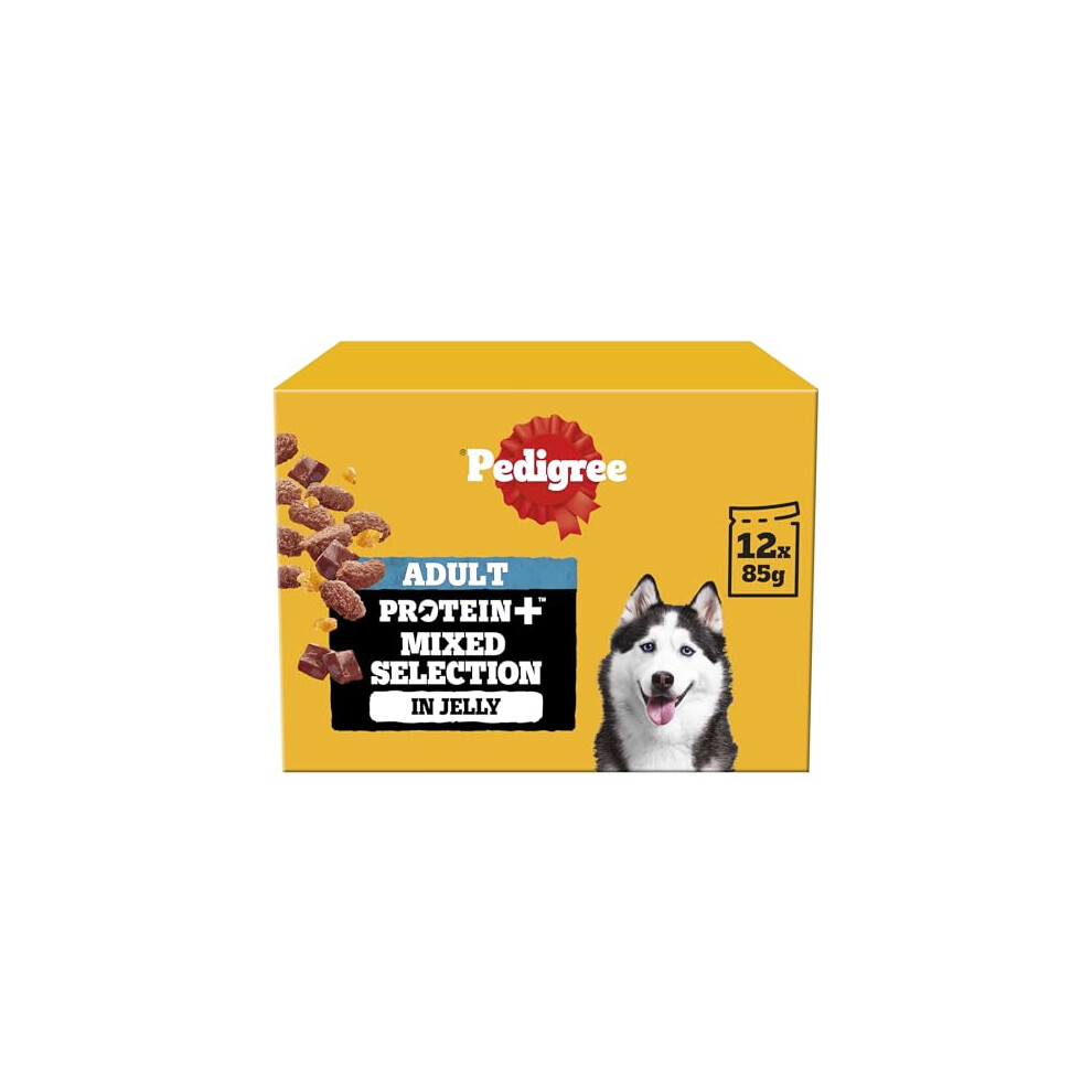 144 x 85g Pedigree Protein Plus Adult Wet Dog Food Pouches Mixed Selection in Je - Image 6