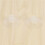 10 PCS 47mm Clear Plastic Wall Suction Cup Clip Clamp 3