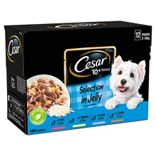 Cesar Senior 10+ Dog Wet Food in Pouch Selection in Jelly, 12x100g