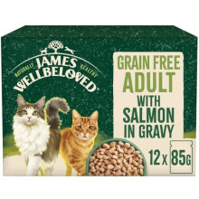 James Wellbeloved Grain Free Adult Dog Food with Salmon in Gravy Pouch 12 x 90 g