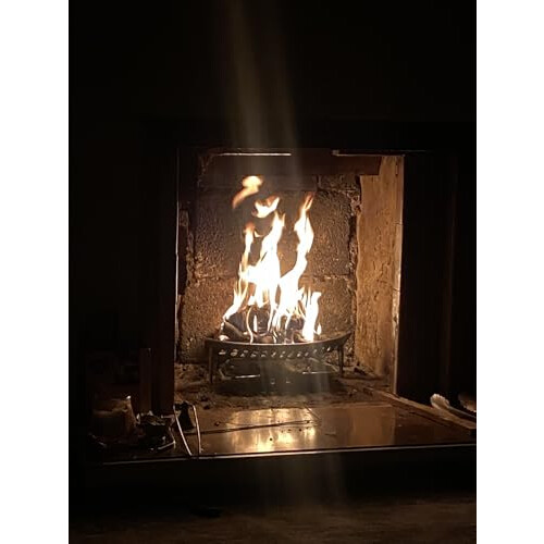 16 Inch Curved Fire Grate 4 Legs - Cast Iron 2