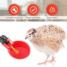 24Pcs Feed Automatic Bird Coop Poultry Chicken Fowl Drinker Water Drinking Cups Livestock Drinking Cup Poultry Tools
