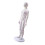 Human Acupuncture Model with Acupoints Meridians Point for Acupuncture Practice Style C 1