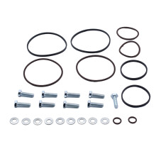 Double Twin DualVanos Seals for M52TU M54 M56 VITON PTFE with Screw Gasket