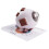 Human Eye Model Enlarged with Removable Stand, Science Anatomical Eyeball Model 1