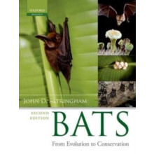 BATSFROM EVOLUTION TO CONSERVATION 2E C by ALTRINGHAM Hardcover Book