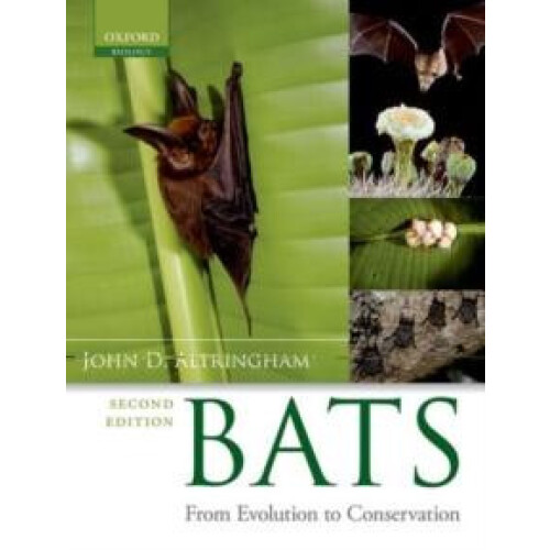 BATSFROM EVOLUTION TO CONSERVATION 2E C by ALTRINGHAM Hardcover Book