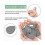 2025 12 Pieces Tablecloth Weights Tablecloth Pendant Teardrop Shape Table Cover Weights Stone Table 3