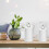 7 Pcs High-end Fashionable Clear Ring Storage Stands 2