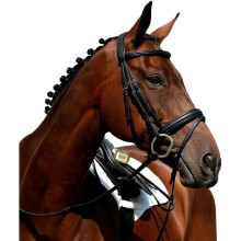 (Cob, Brown) Collegiate Syntovia+ Padded Raised Flash Bridle