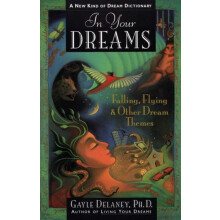 In Your Dreams Falling Flying and Other Dream Themes A New Kind of Dre