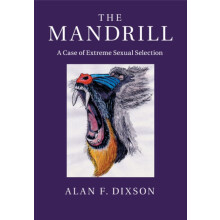 The Mandrill by Alan F. Dixson Paperback Book