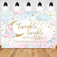 Babyshower Jente Boho Bohemsk Blomster Søt Baby Bakgrunn Blomst Pampasgress Gull Festdekorasjon Nyfødt Fotografi Bakgrunn Fotoseanse Rekvisitt