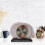 Light Polarization Demonstrator Physics Teaching Instrument Aids High Precision color 1