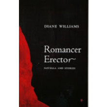 Romancer Erector by Diane Williams Paperback Book