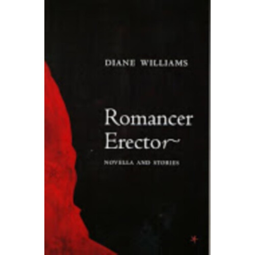 Romancer Erector by Diane Williams Paperback Book