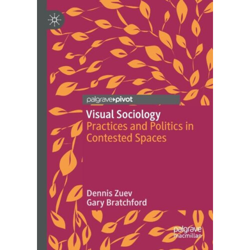 Visual Sociology Practices and Politics in Contested Spaces by Dennis