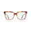 Ferragamo Ferragamo SF3060 54/16/150 Schildpad Acetaat DAME SF3060 2