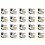 20X Hwfly Picofly for Raspberry Pi RP2040 Chip Support Picofly Oled /Lite/V2 1
