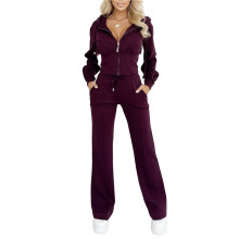 Dames Herfst/Winter Hoodie met Rits, Slim Fit, Effen Kleur, Tweedelig Set, Casual Outfit Wijnrood XXXL