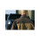 Viper TACTICAL Viper TACTICAL Lightweight Softshell Jacket Coyote L 18