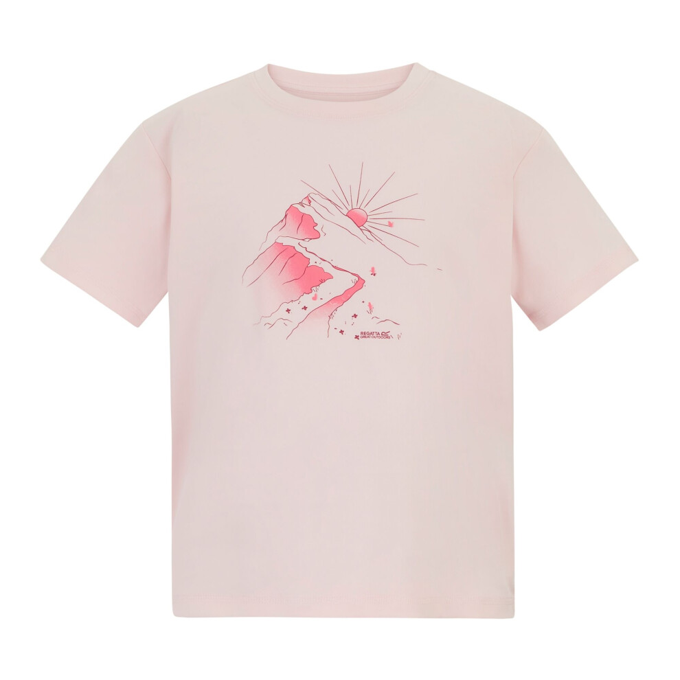 Regatta (15-16 Years, Pink Haze) Childrens/Kids Aria Sunrise T-Shirt