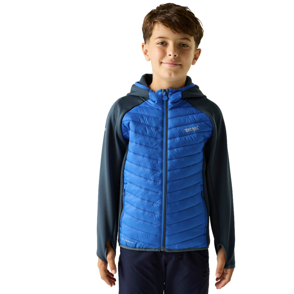 Regatta (11 - 12 Yrs, Night Sky/Olympian Blue) Kids Andreson Hybrid Softshell Jacket - Image 5