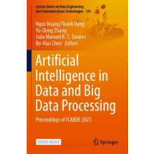 Artificial Intelligence in Data and Big Data Processing Proceedings of
