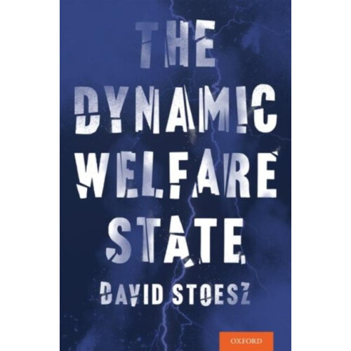 Dynamic Welfare State by David Stoesz Hardcover Book