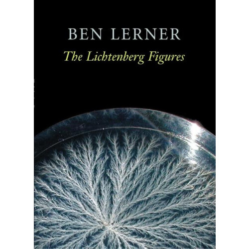 The Lichtenberg Figures by Ben Lerner Paperback Book