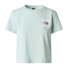(16 UK, Opal) The North Face Womens/Ladies Graphic Print Short-Sleeved T-Shirt