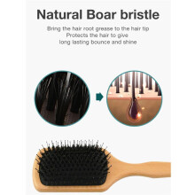 Zwijnenhaarborstel Beukenhouten Designkam Gasbag Massagehaarborstel voor Droog, Nat Haar Ontklitter Dames